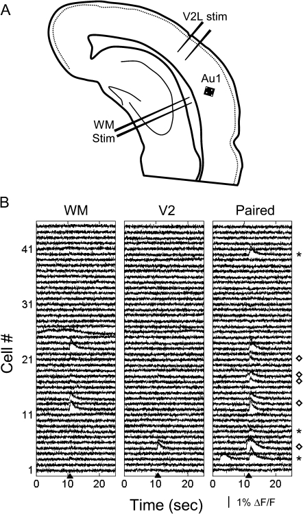 Figure 10.