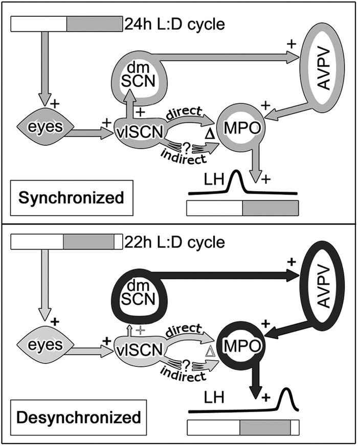 Fig. 8.