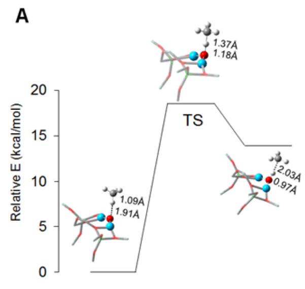 Figure 9