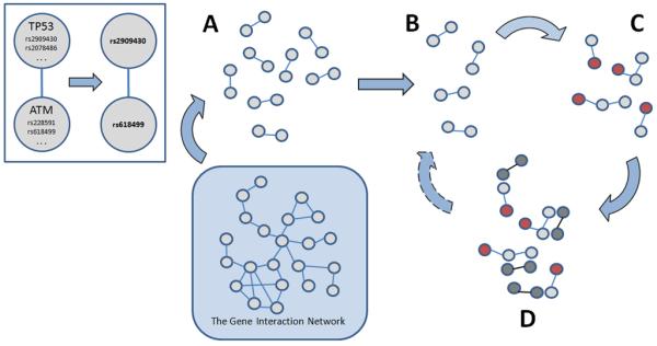 Fig. 1