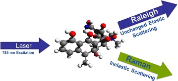 Fig. 2