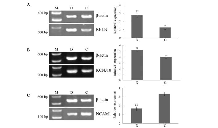 Figure 5.