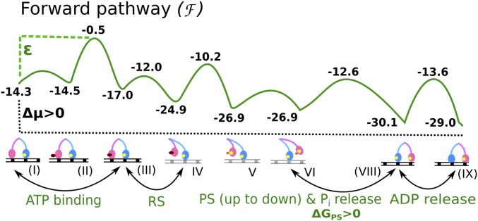 Fig. 1.