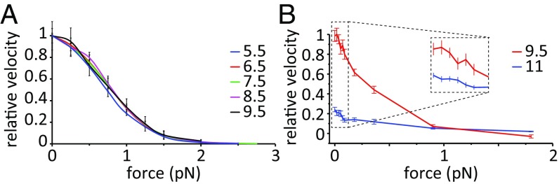 Fig. 6.