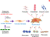 Figure 2 |