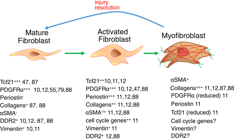 Figure 1 |