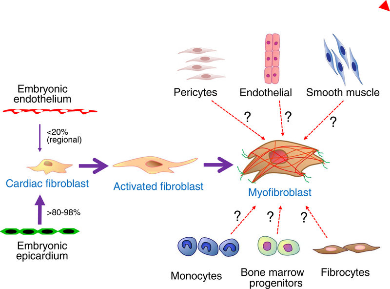 Figure 2 |