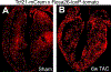 Figure 3 |