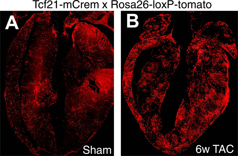 Figure 3 |