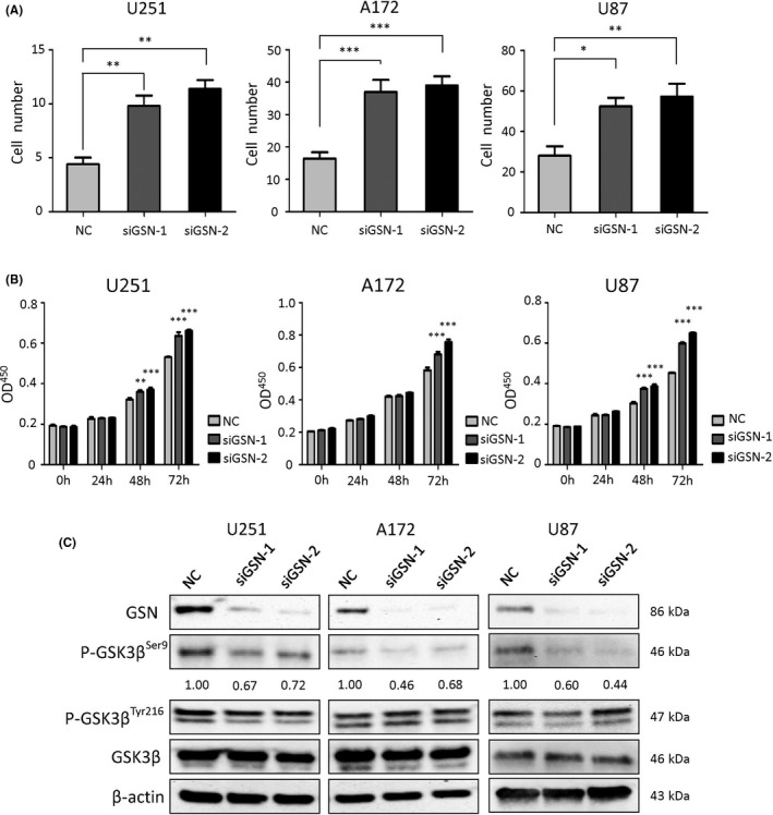 FIGURE 3