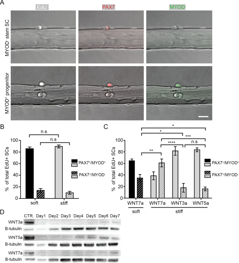 FIGURE 4: