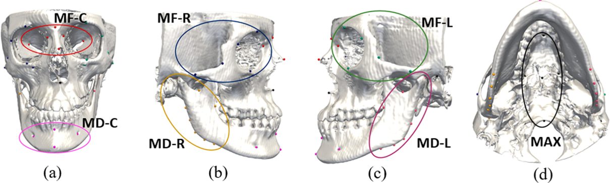 Fig. 2.