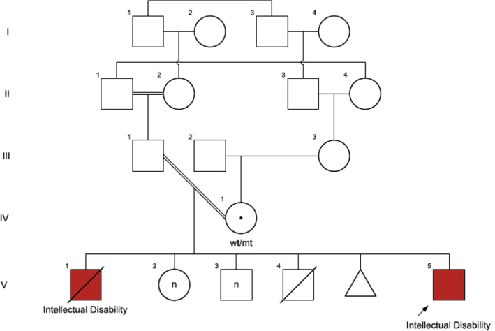 FIGURE 4