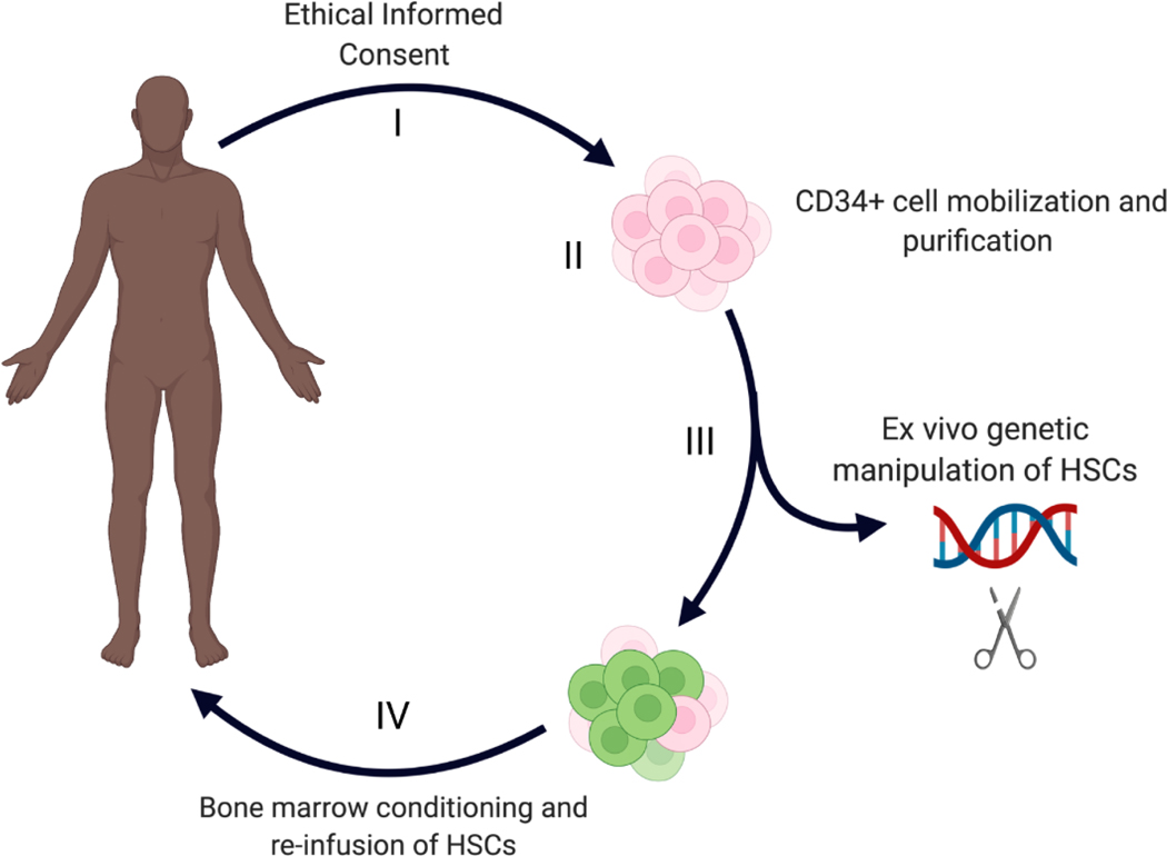 Figure 2: