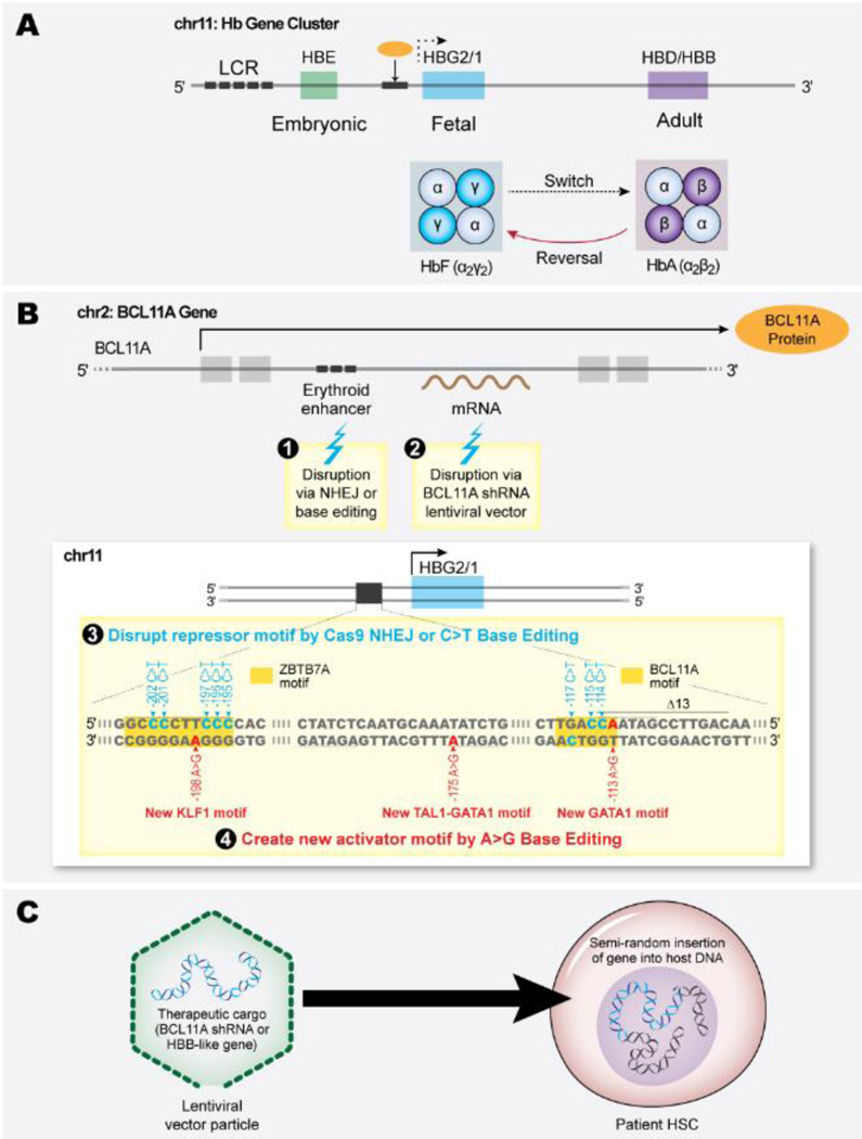 Figure 1: