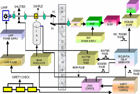 Fig. 1