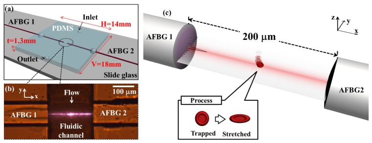 Fig. 2