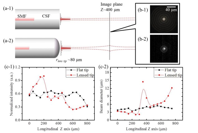 Fig. 3