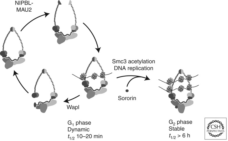 Figure 3.