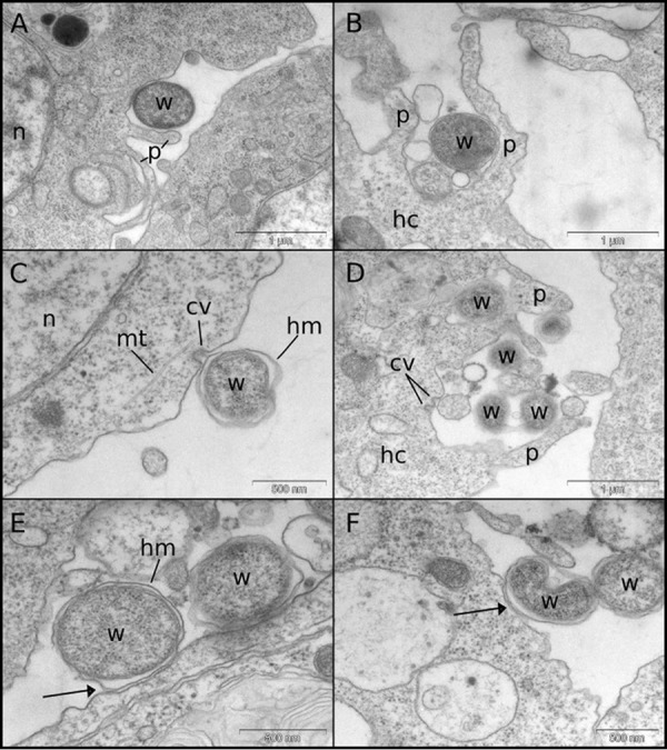 FIG 5