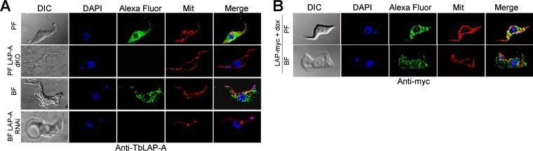 FIG 6 