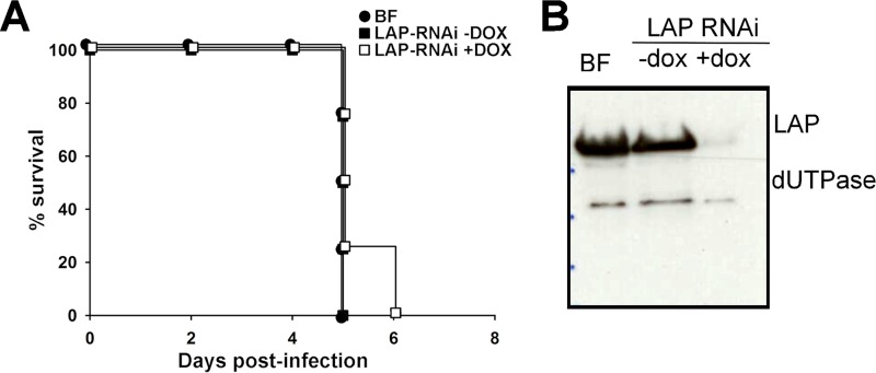 FIG 8 