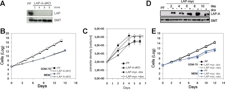 FIG 5 