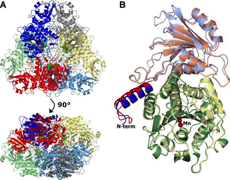 FIG 1 