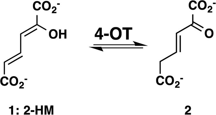 Scheme 1.