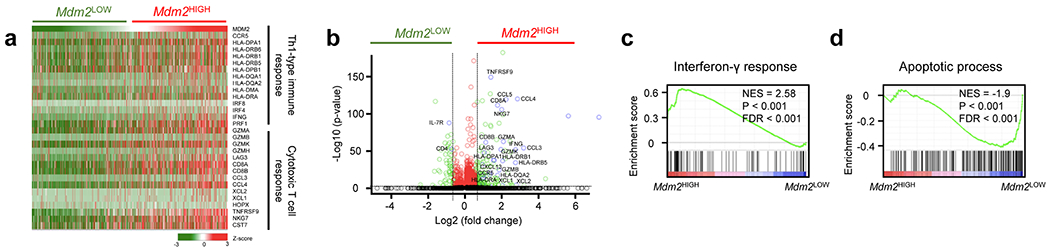 Fig. 7: