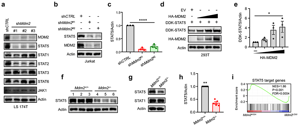 Fig. 2: