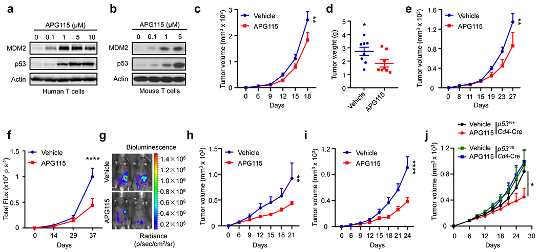 Fig. 4: