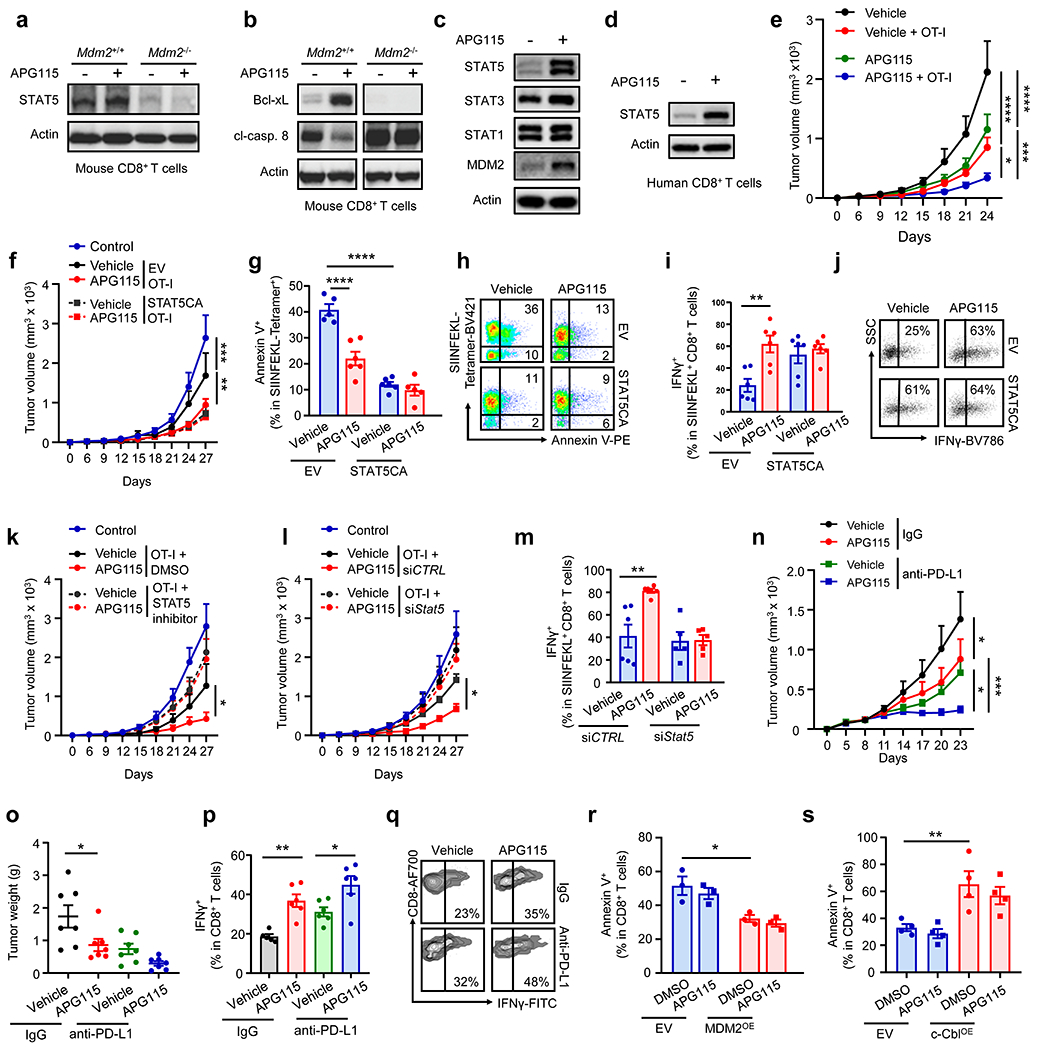 Fig. 6: