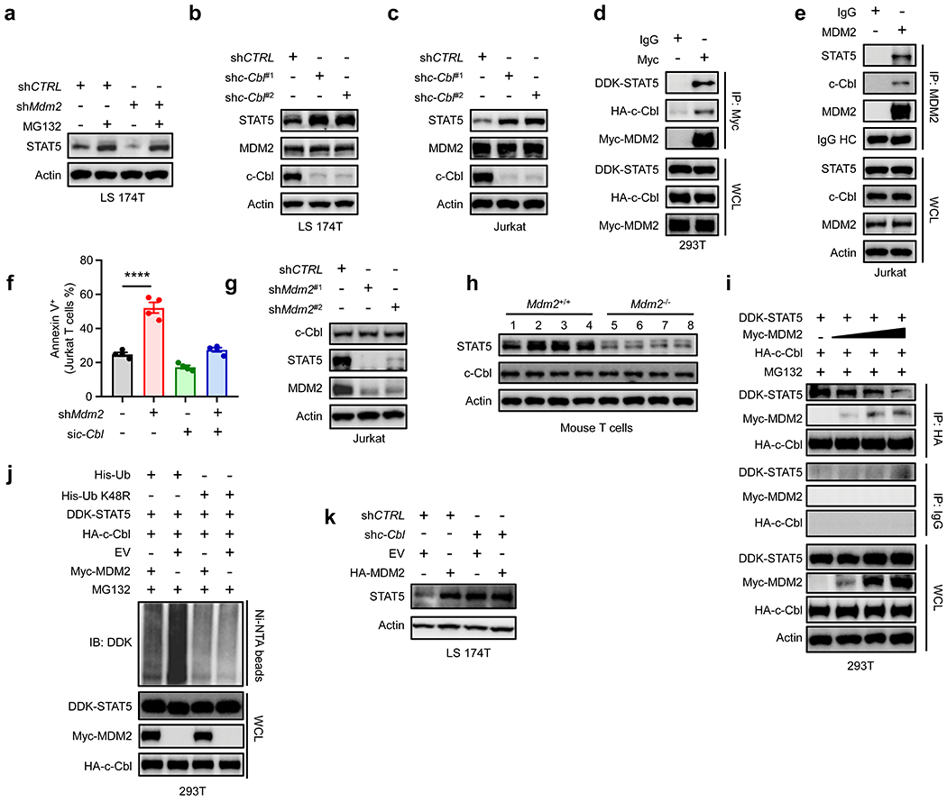 Fig. 3: