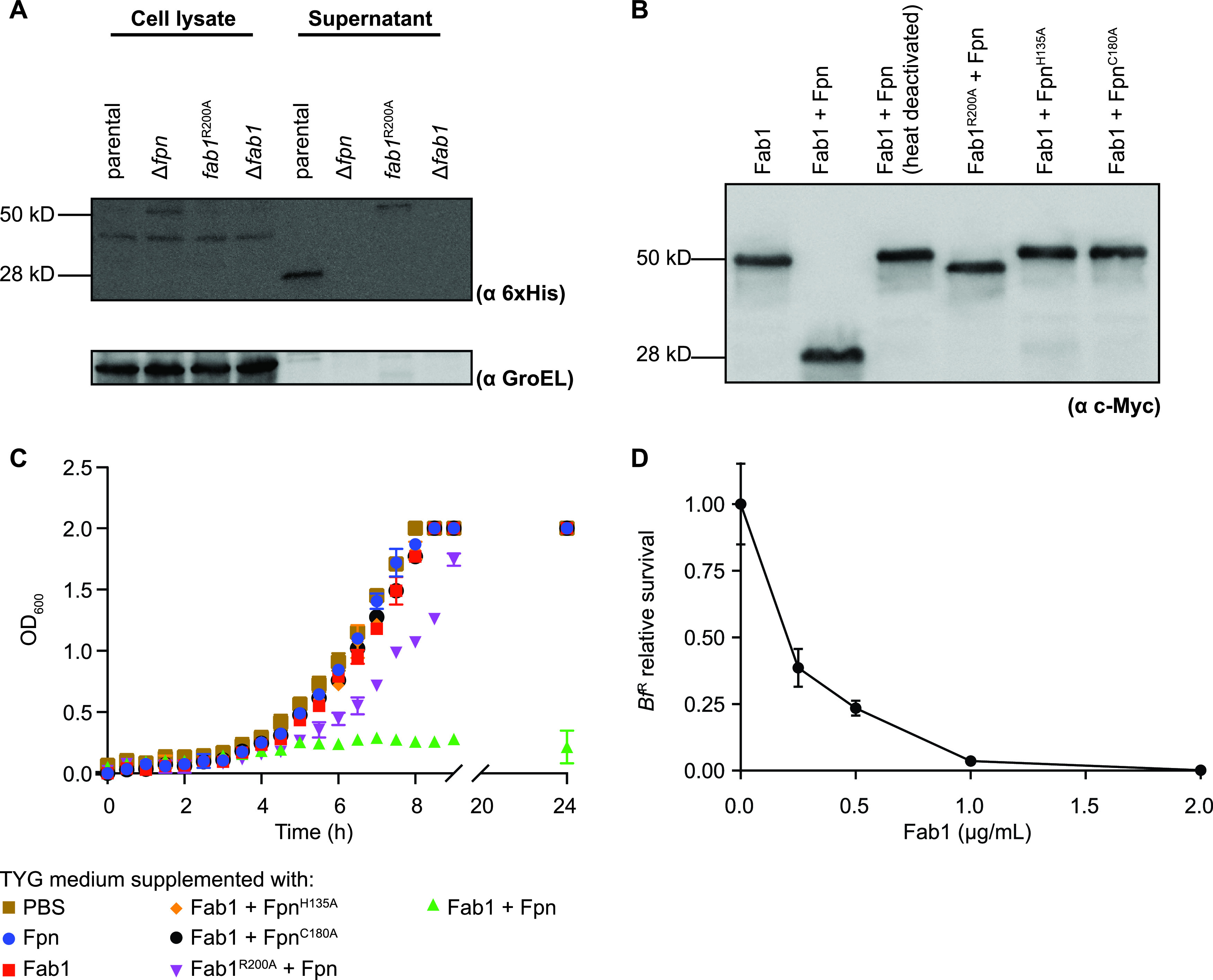 FIG 4