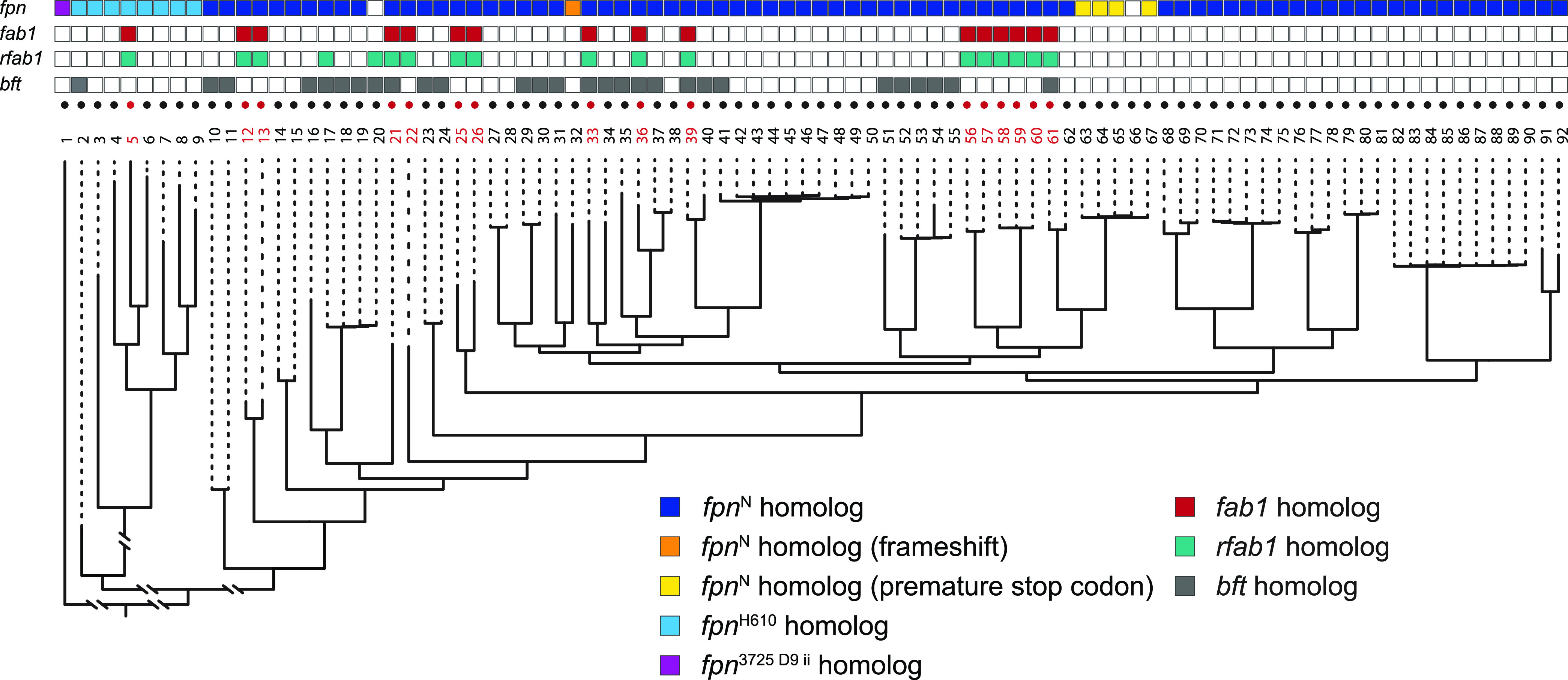 FIG 6