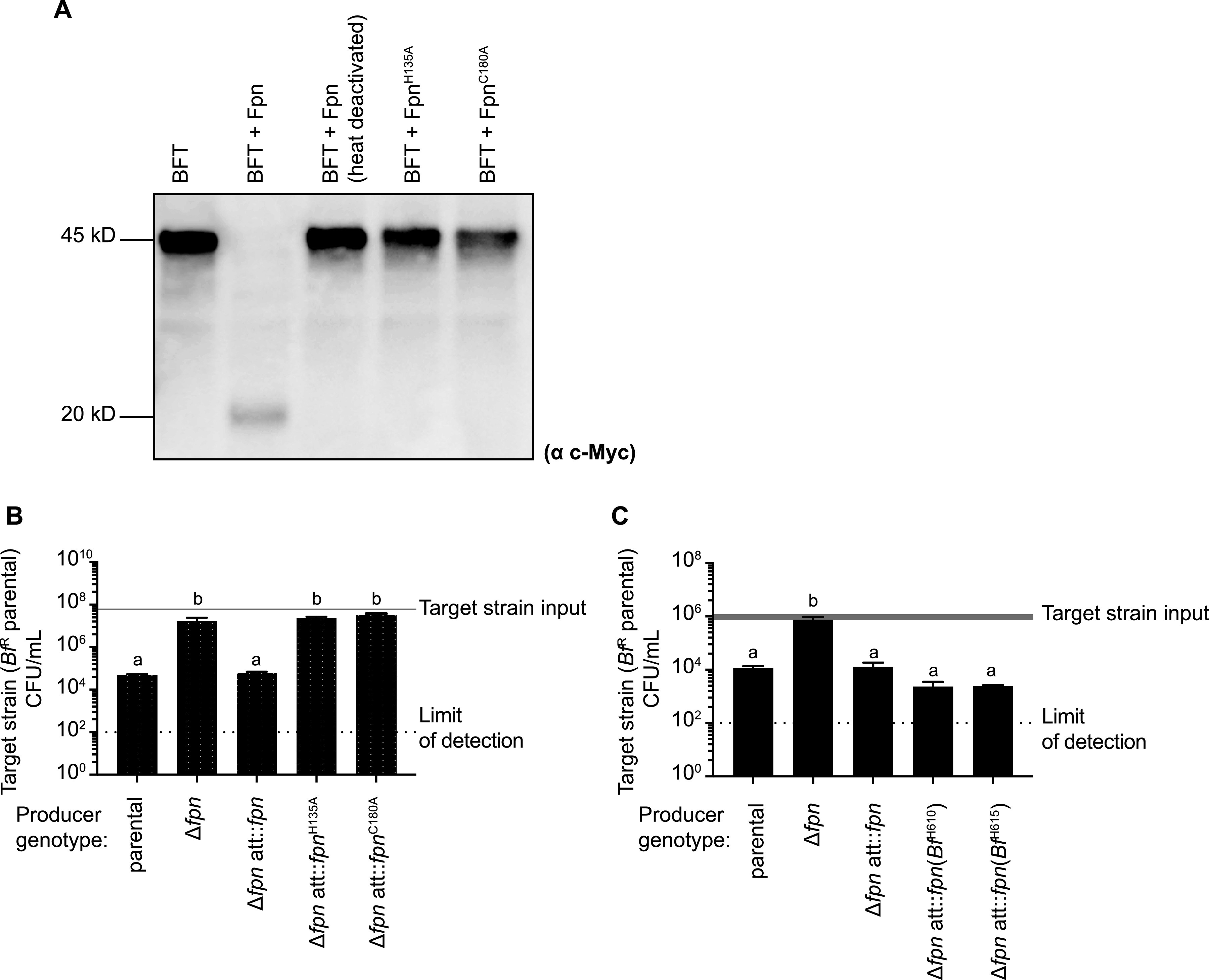 FIG 3