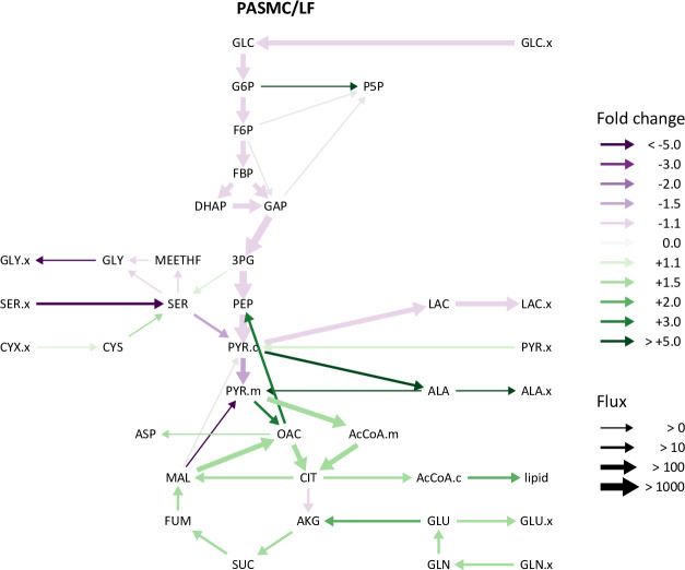 Figure 5—figure supplement 3.