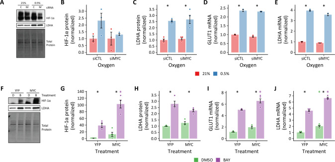 Figure 11—figure supplement 2.