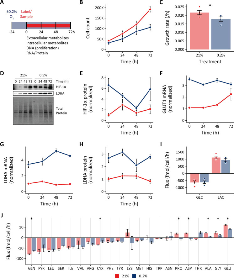 Figure 1—figure supplement 3.