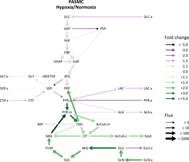 Figure 5—figure supplement 4.