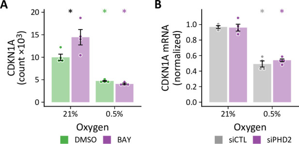 Figure 10—figure supplement 2.