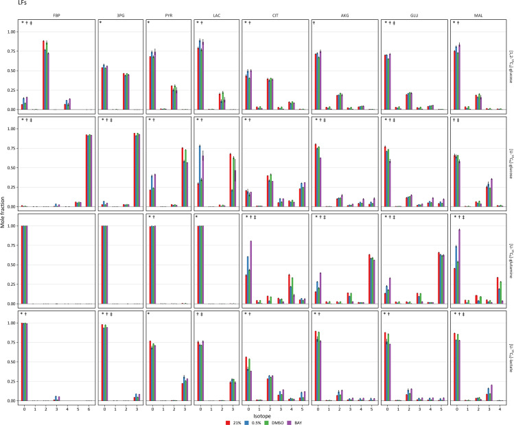 Figure 4—figure supplement 1.