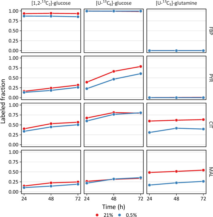 Figure 5—figure supplement 1.