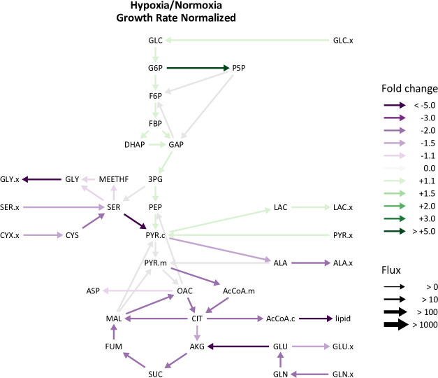 Figure 5—figure supplement 5.