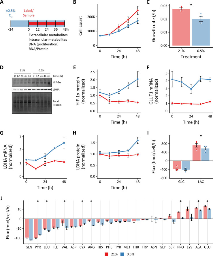 Figure 1—figure supplement 4.