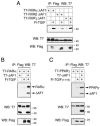 FIG. 5.