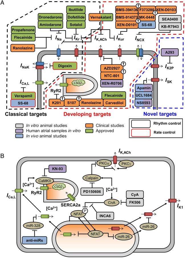 Figure 5