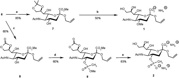 Scheme 2