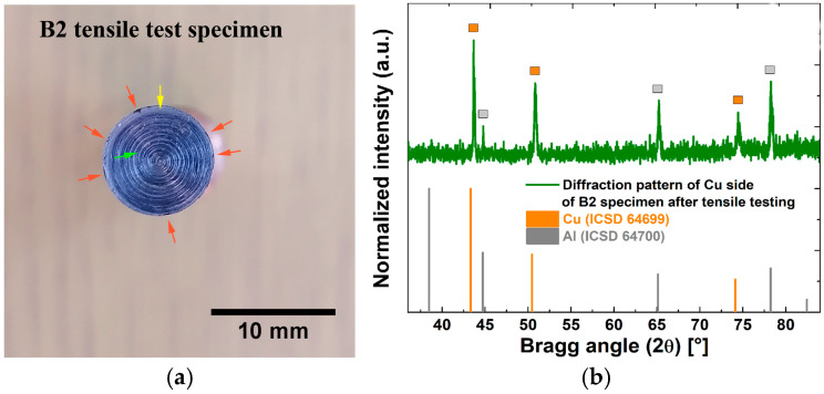 Figure 24